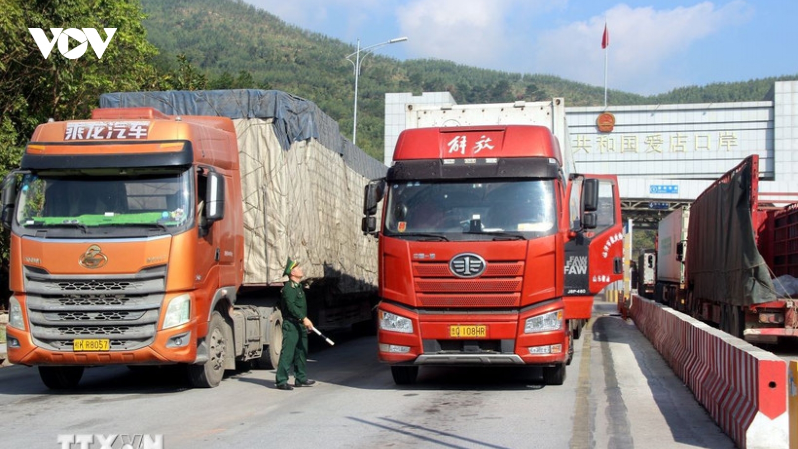 Vướng kiểm tra ATTP, hải quan đề xuất tạm áp dụng cơ chế kiểm dịch cũ