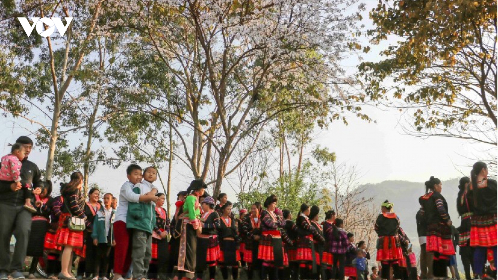 Dien Bien Ban Flower Festival 2026 to feature new highlights