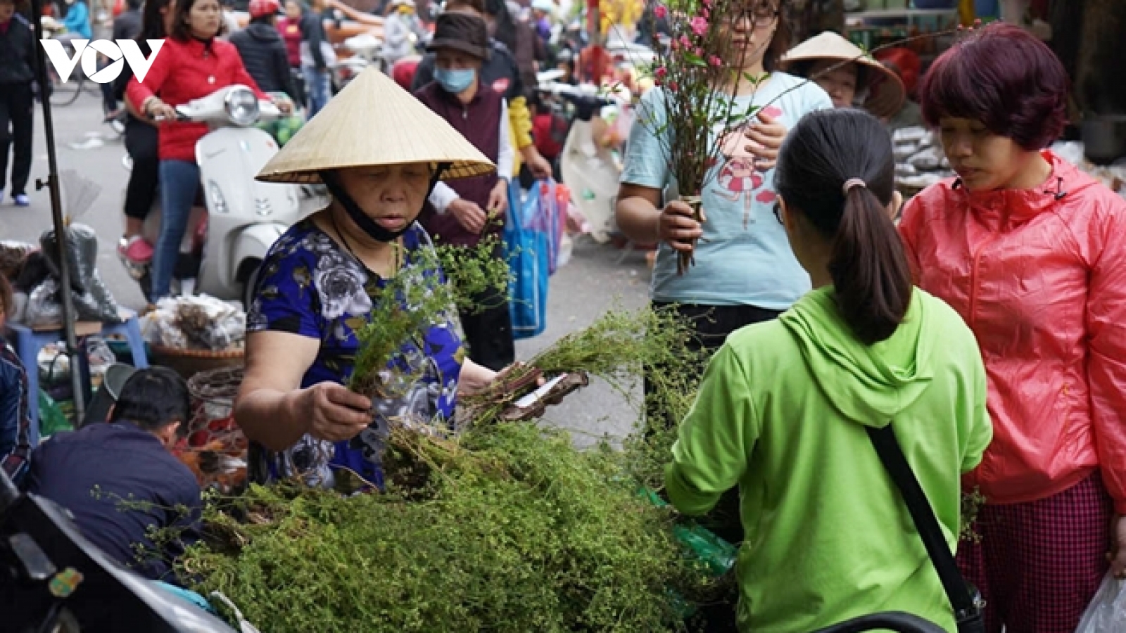 Hít hà mùi lá góc chợ cuối năm, nhớ Tết xưa
