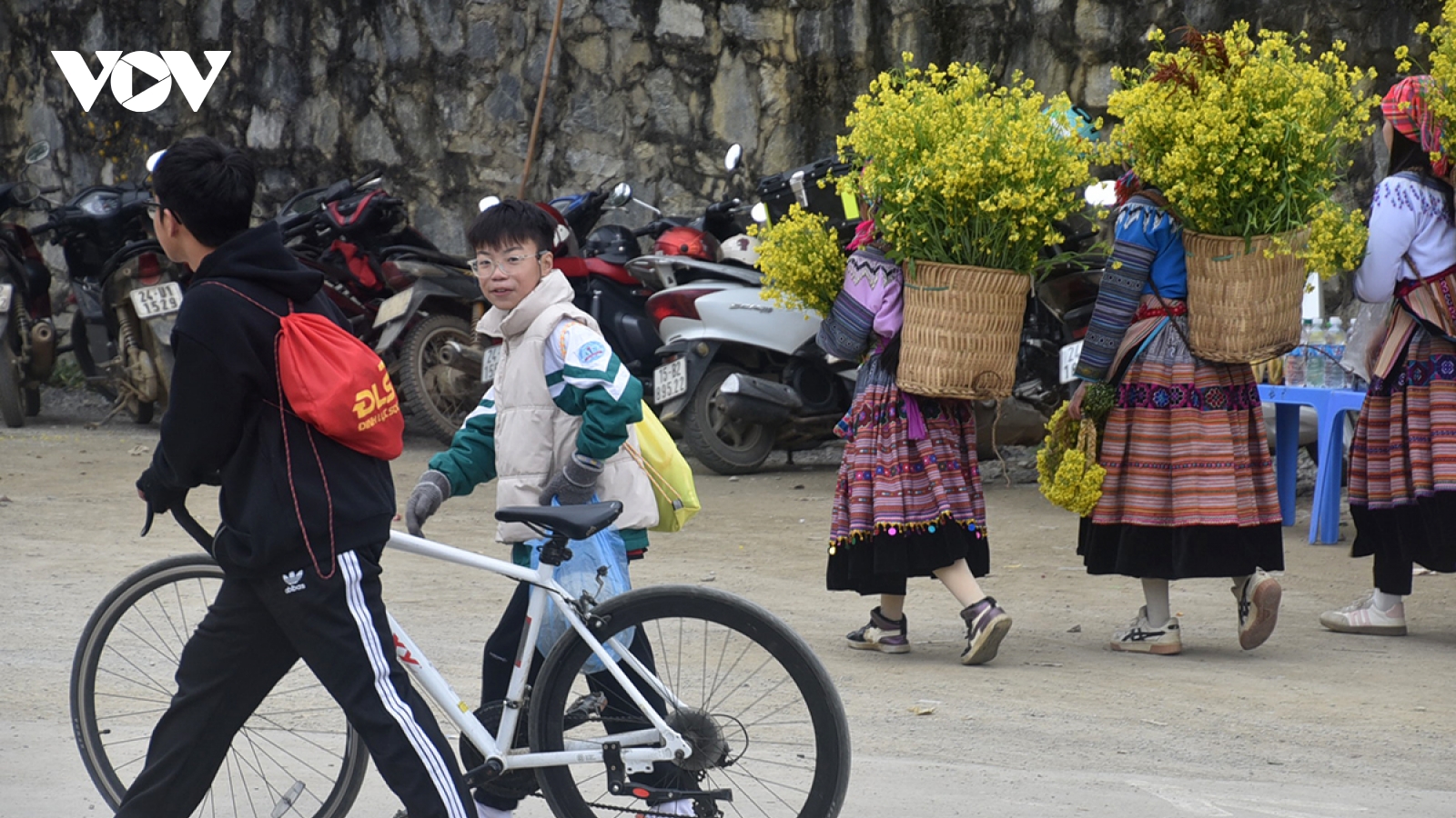 Bắc Bộ rét đậm trong dịp Tết