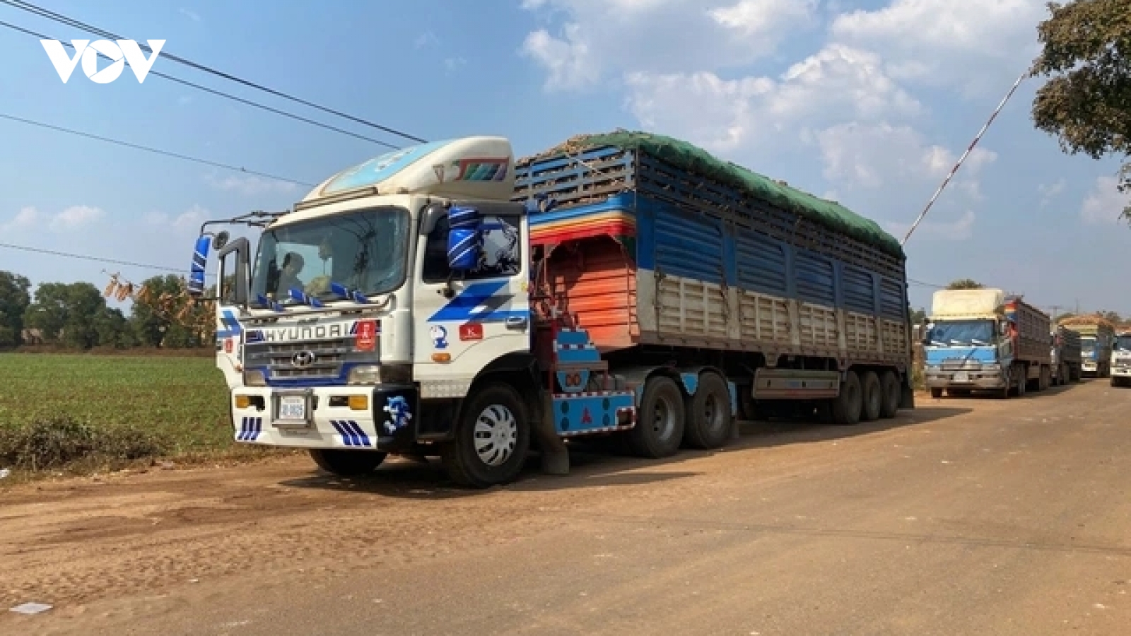 Hải quan cửa khẩu làm việc 24/7, tháo gỡ vướng mắc thông quan thực phẩm