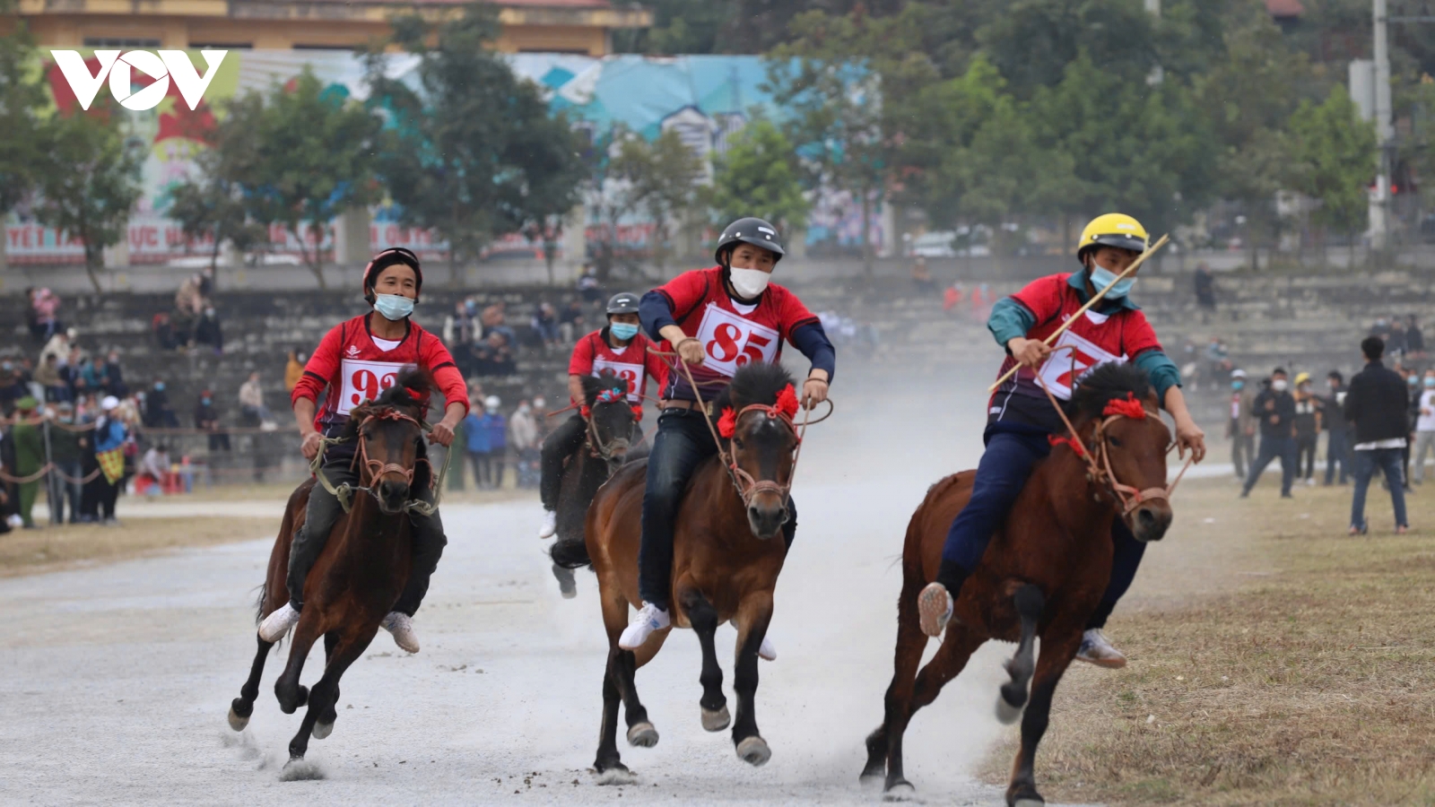 Đến Bắc Hà nghe chuyện vó ngựa trên cao nguyên trắng