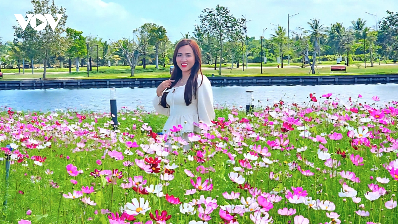 “Đảo hoa” sao nhái giữa đô thị Cà Mau hút khách check-in dịp Tết