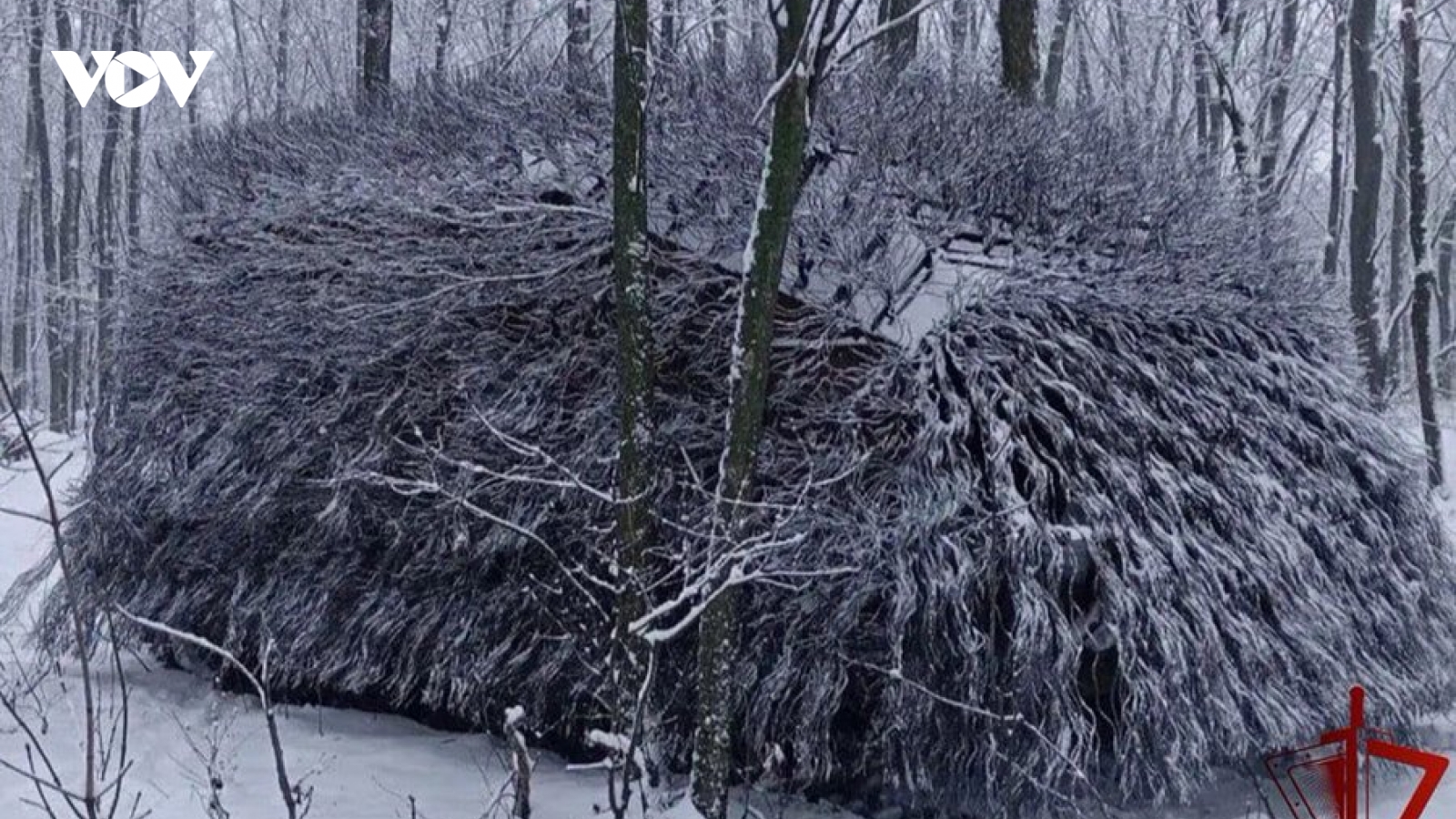 Xe tăng “nhím” lộ tử huyệt, Nga và Ukraine tung đòn khắc chế