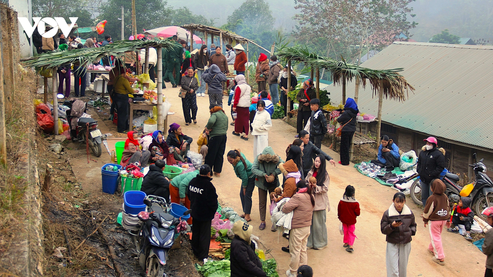 Xuân về nơi tâm lũ Nhôn Mai