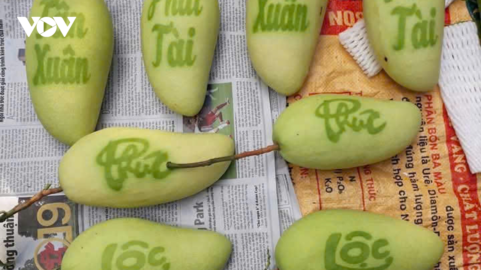 Trái cây tạo hình chưng Tết: Kỳ vọng và nỗi lo của nhà vườn Cần Thơ