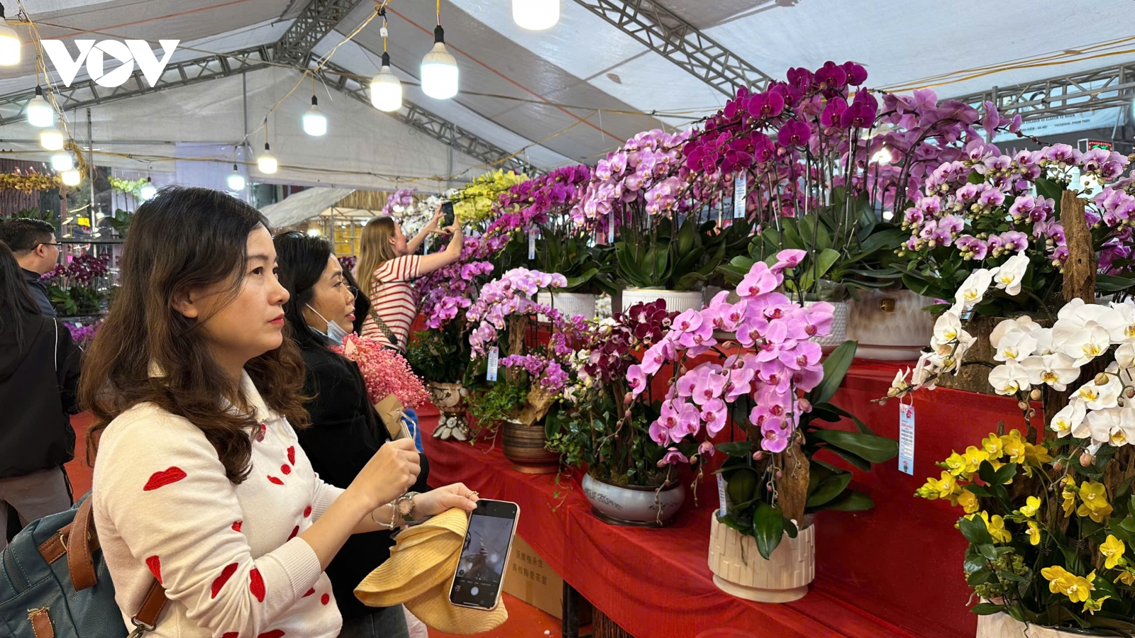 Hội chợ hoa Hàng Lược “gõ cửa mùa xuân” Thủ đô