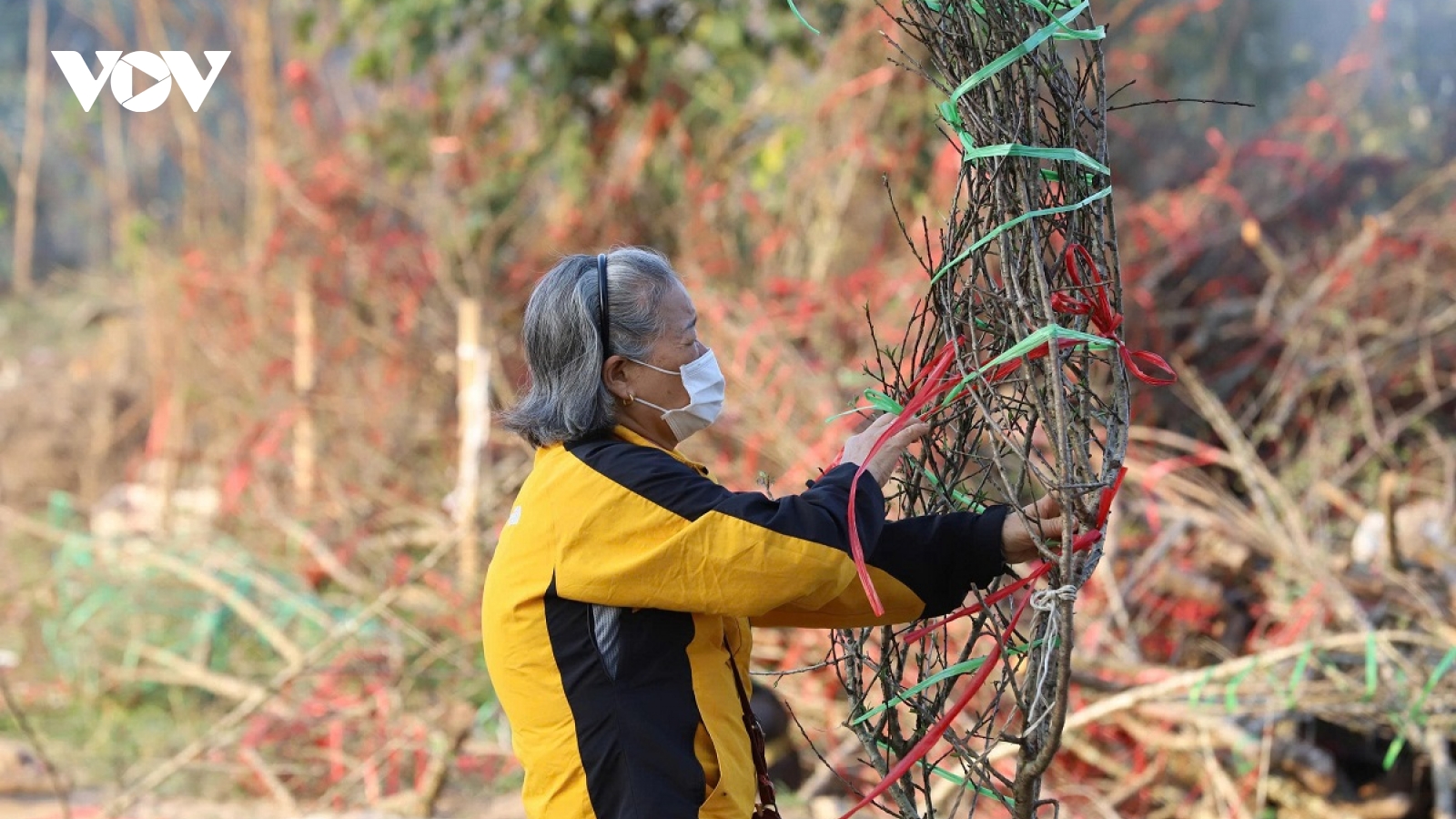 Hối hả Thành Nam chiều 29 Tết