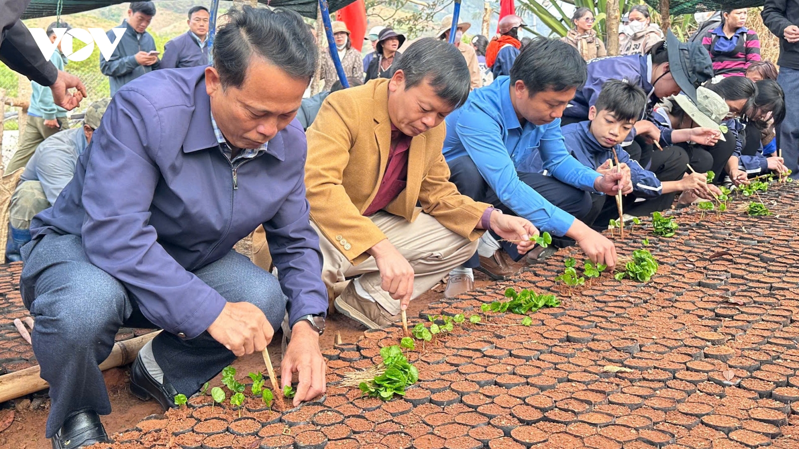 Ra quân đầu năm gắn với hỗ trợ sinh kế cho đồng bào dân tộc thiểu số ở Quảng Ngãi