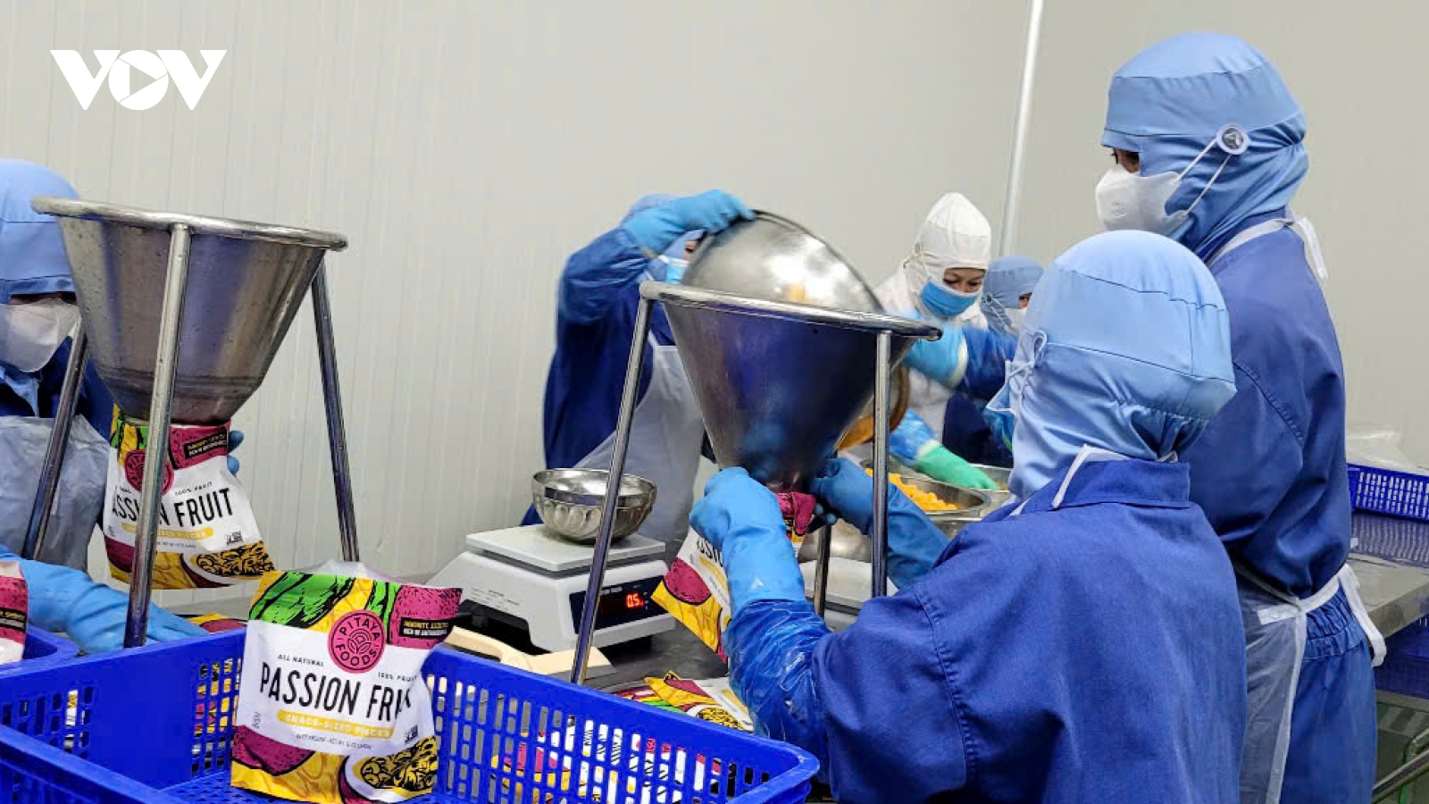 Doanh nghiệp Đồng Tháp nỗ lực giữ nhịp sản xuất trong “bão giá”