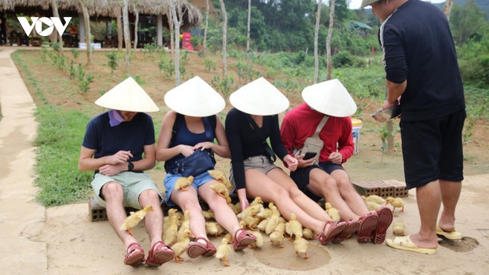Từ đàn vịt quê đến “mỏ vàng du lịch”: Trải nghiệm lạ hút khách quốc tế