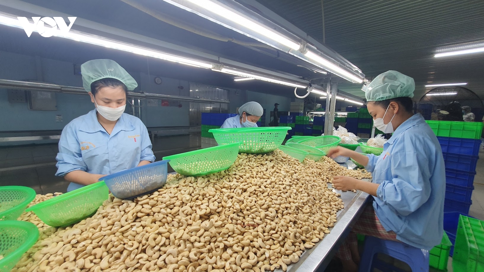 Ngành điều cảnh báo rủi ro hợp đồng và thanh toán trong năm 2026