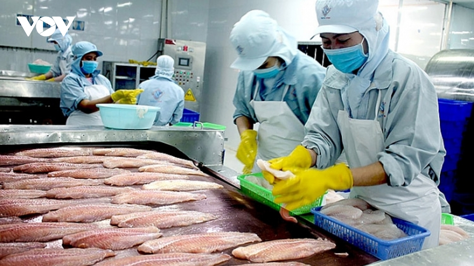 Cá tra Việt Nam vào thực đơn nhà hàng sushi "khó tính" nhất thế giới