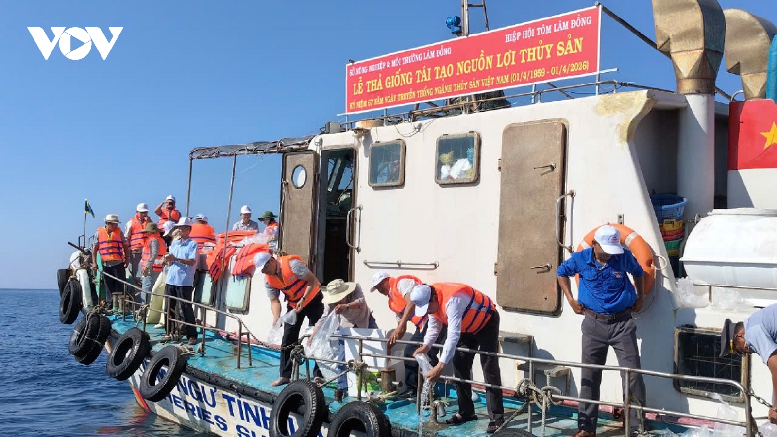 Hơn 1 triệu con giống các loại được thả tại Khu bảo tồn biển Hòn Cau