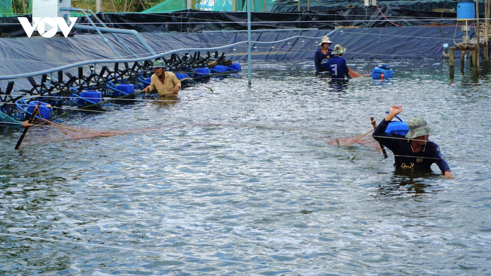 Cà Mau tìm giải pháp phát triển kinh tế tư nhân để đạt tăng trưởng "hai con số"