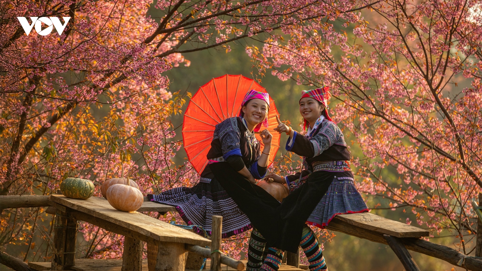 Hạnh phúc - Giá trị bền vững trong đời sống văn hóa người Việt