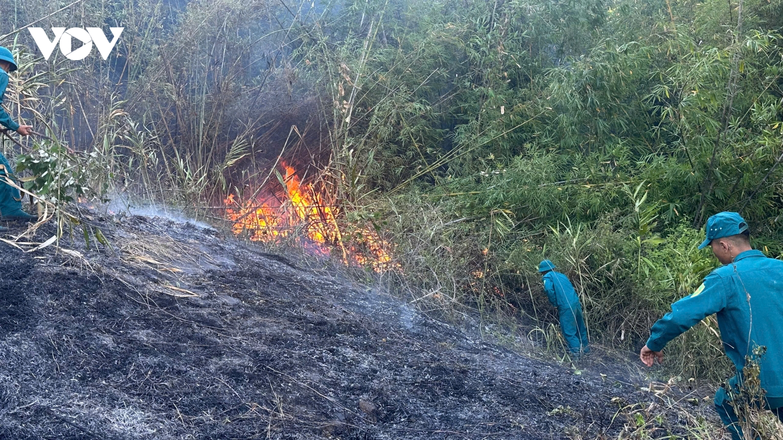 Lâm Đồng: Hơn 100 người tham gia chữa cháy rừng trên đèo Bảo Lộc