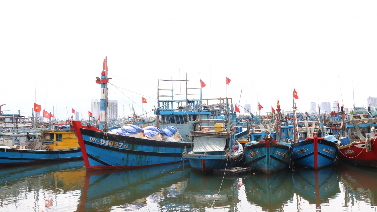 Ngư dân Đà Nẵng sắp xếp phiên biển, sẵn sàng tham gia ngày hội bầu cử
