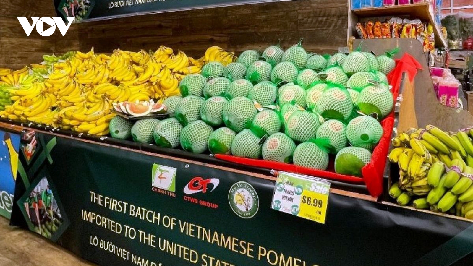 Vietnam fruit exports to US surge on demand, market access gains