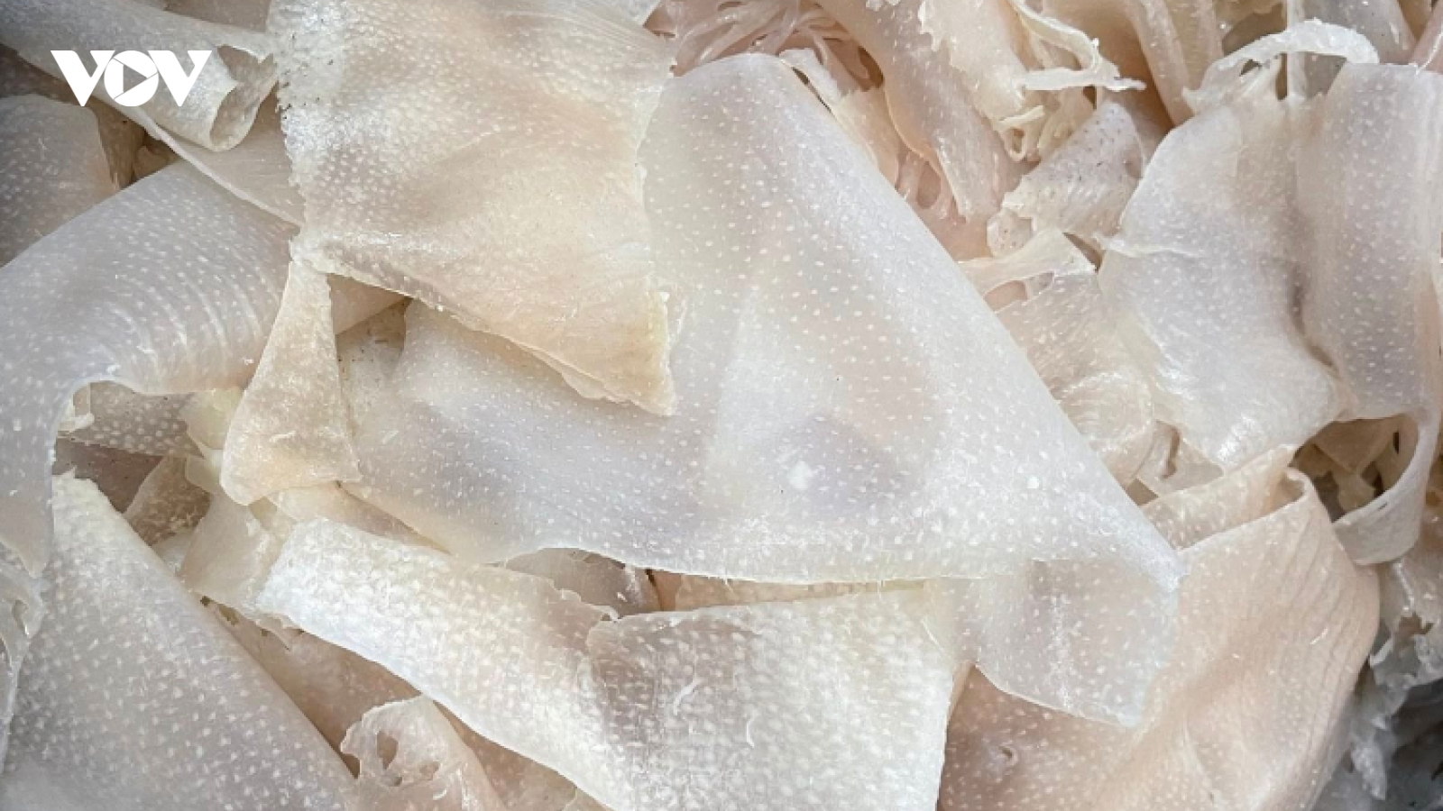 Bì lợn - bộ phận bị ghẻ lạnh nhưng là "kho báu" chống già