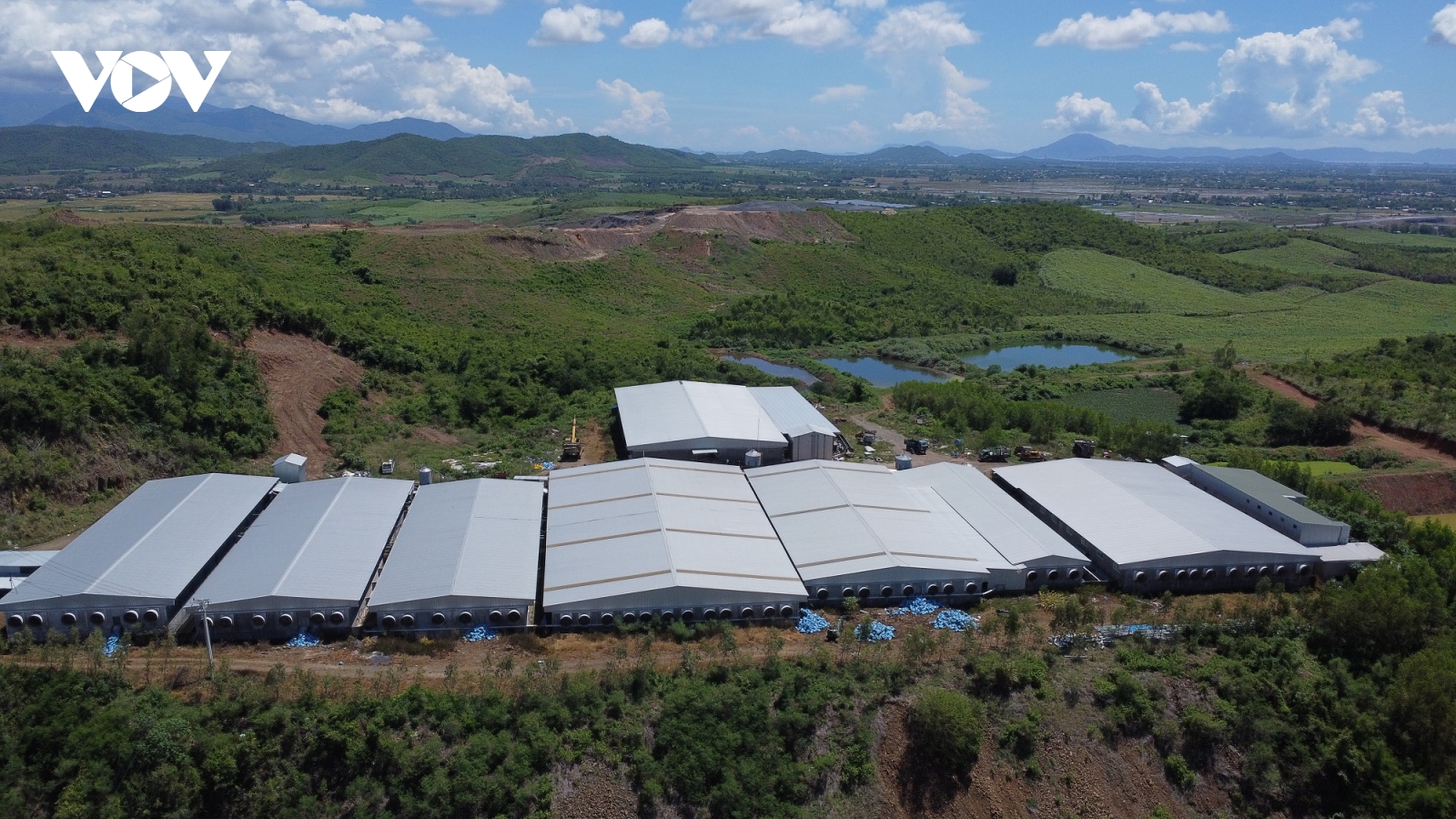 Khánh Hòa yêu cầu xử lý dứt điểm trại heo không phép, xả thải quá 10 lần quy chuẩn