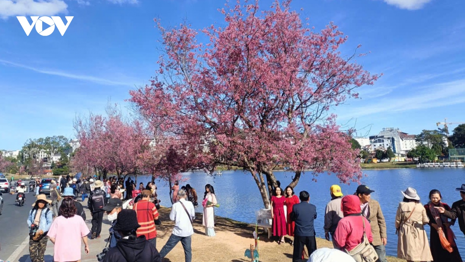 Lâm Đồng xây dựng đồng bộ hạ tầng công nghệ và dữ liệu số lĩnh vực du lịch