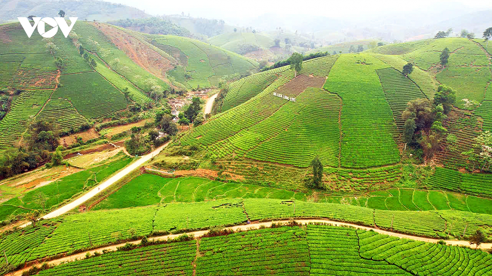 Phú Thọ tăng cường kết nối, nâng tầm giá trị di sản văn hóa và trải nghiệm du lịch
