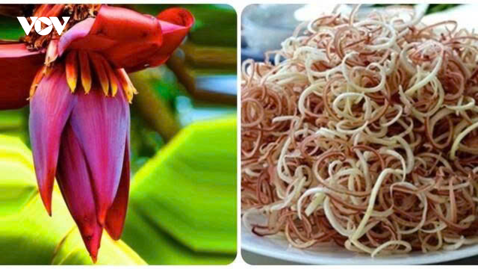 Hoa chuối - Món ăn dân dã nhưng lợi ích bất ngờ cho sức khỏe