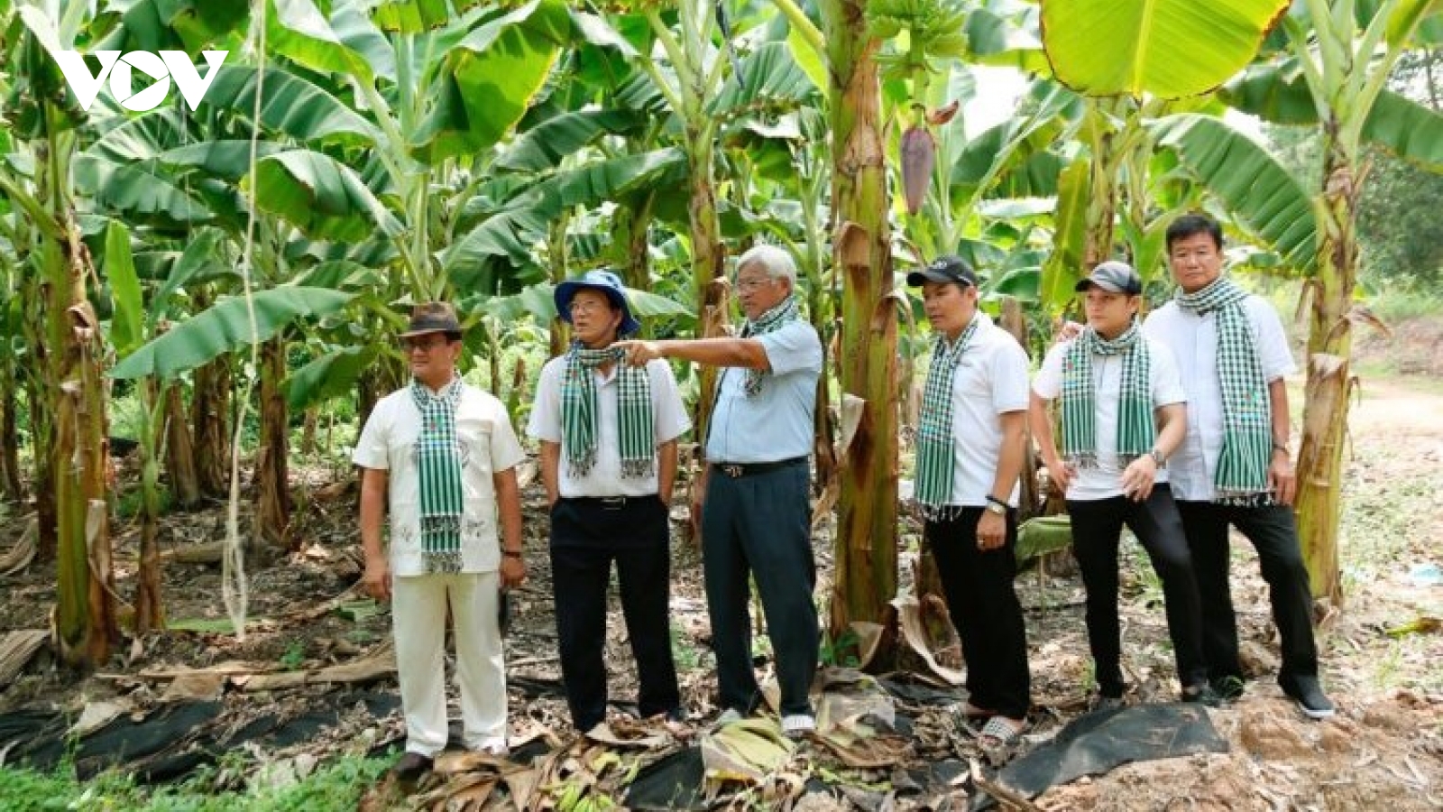 Kỳ vọng của nông dân Nam Bộ vào đại biểu ứng cử kỳ này