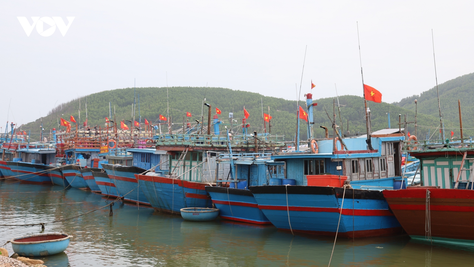 Vượt áp lực giá xăng dầu, ngư dân và ngành vận tải Quảng Ngãi duy trì hoạt động