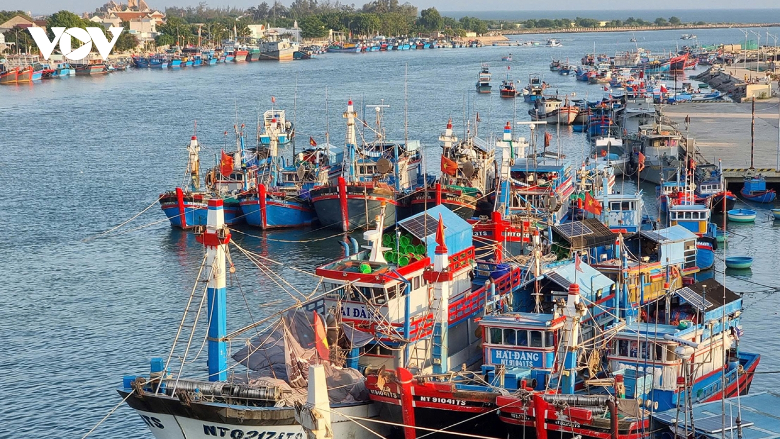 Khánh Hòa hoàn thiện hồ sơ, minh bạch số liệu chống khai thác IUU