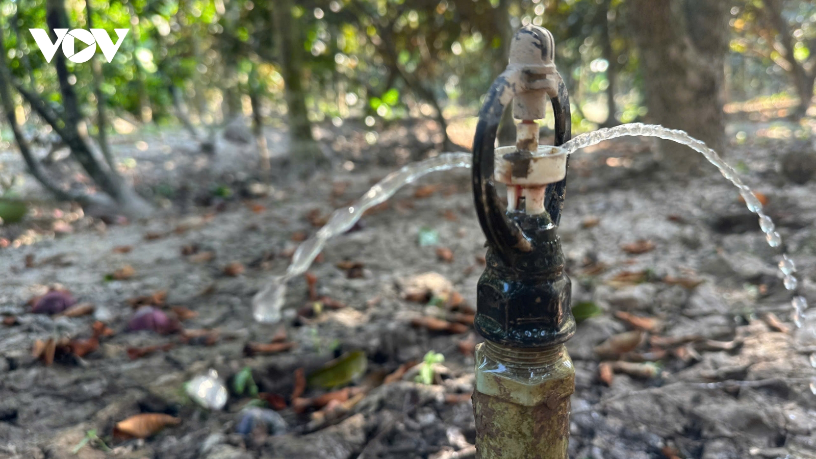 ĐBSCL chủ động kiểm soát xâm nhập mặn, hạn chế nguy cơ thiếu nước diện rộng