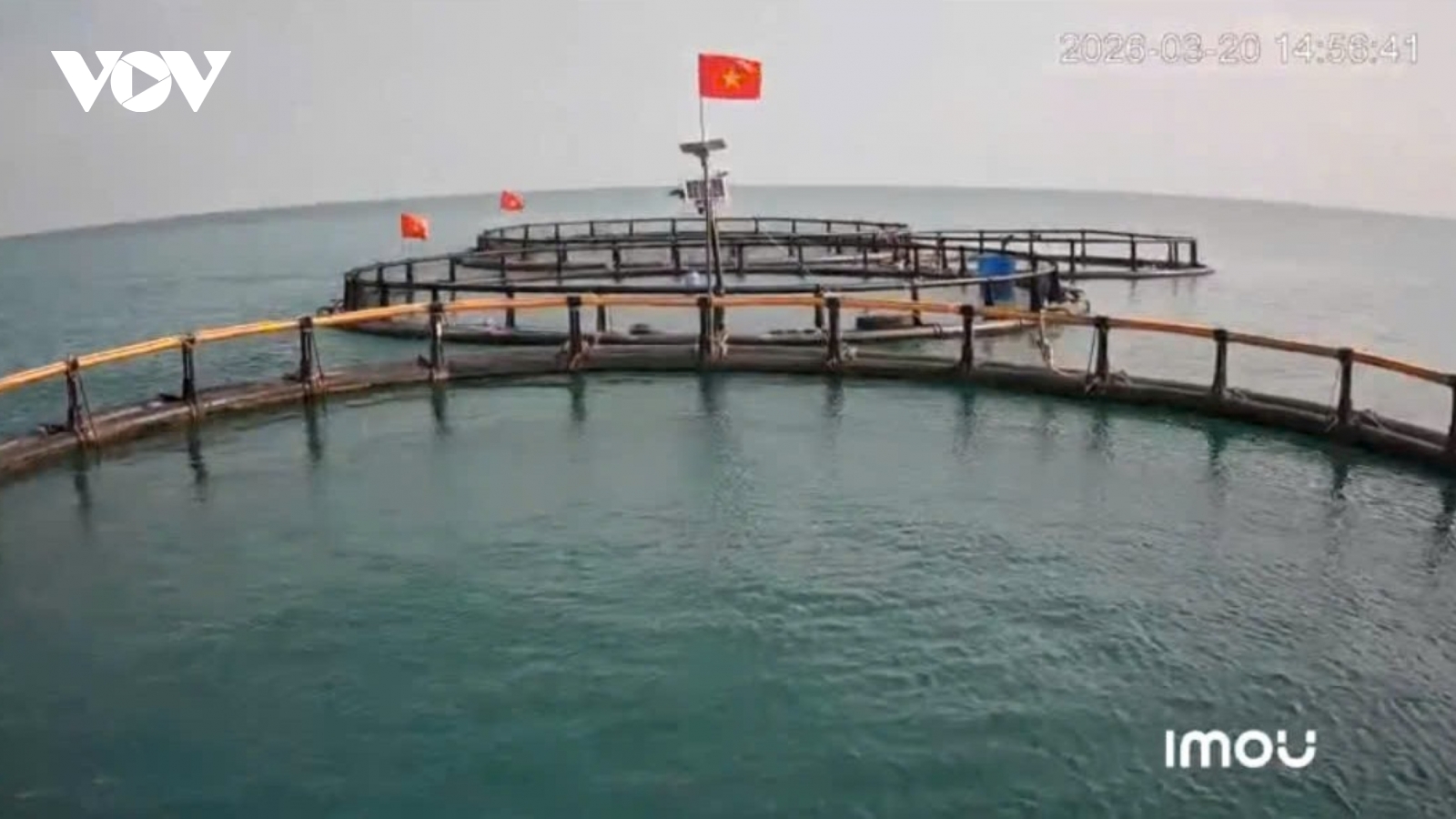 Ngư dân chuyển sang nuôi trồng bền vững, giảm áp lực khai thác biển