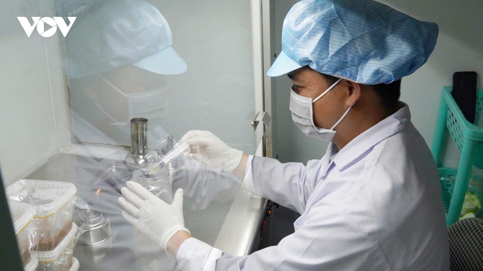 Bỏ phố về quê khởi nghiệp thành công từ cây nấm