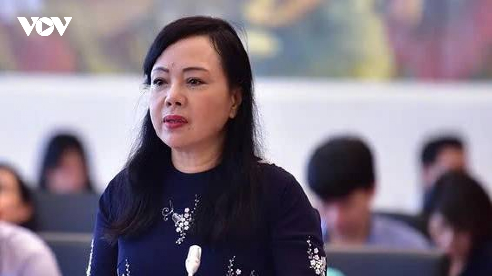 Vì sao 10 người được miễn trách nhiệm hình sự vụ liên quan bà Nguyễn Thị Kim Tiến?