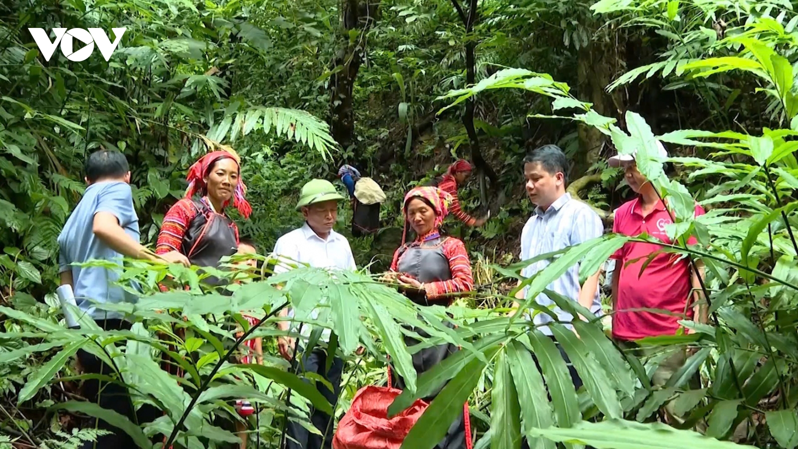 Thu Lũm - bức tranh no ấm nơi "phên dậu" Tổ quốc