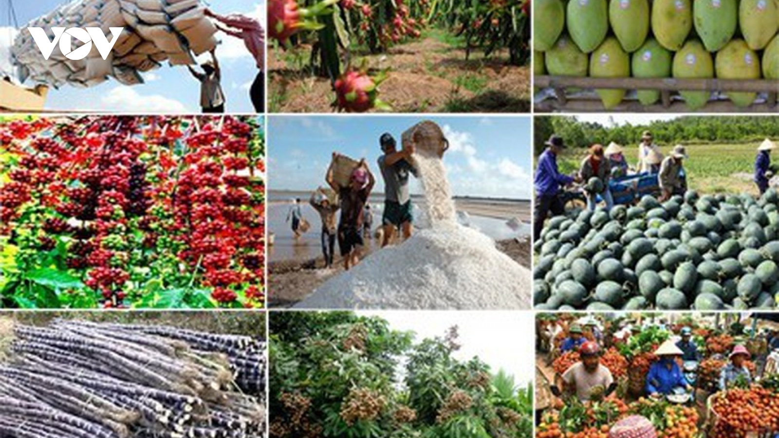 Chiến sự Trung Đông gây sức ép lên xuất khẩu nông sản Việt