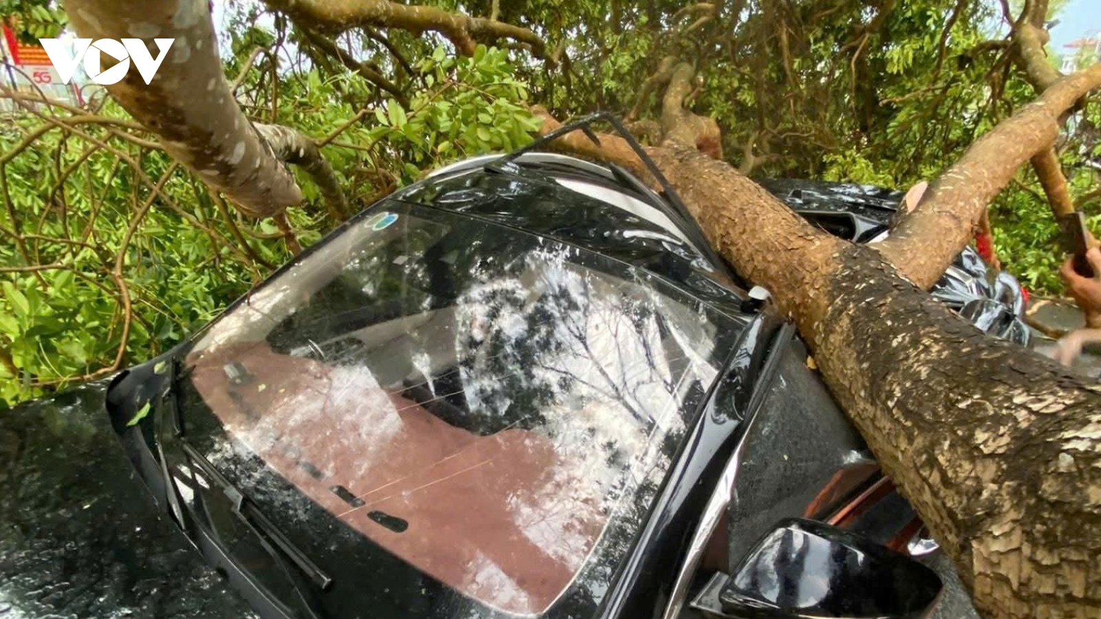 Dông lốc gây thiệt hại ở khu vực thị xã Nghĩa Lộ cũ, tỉnh Lào Cai