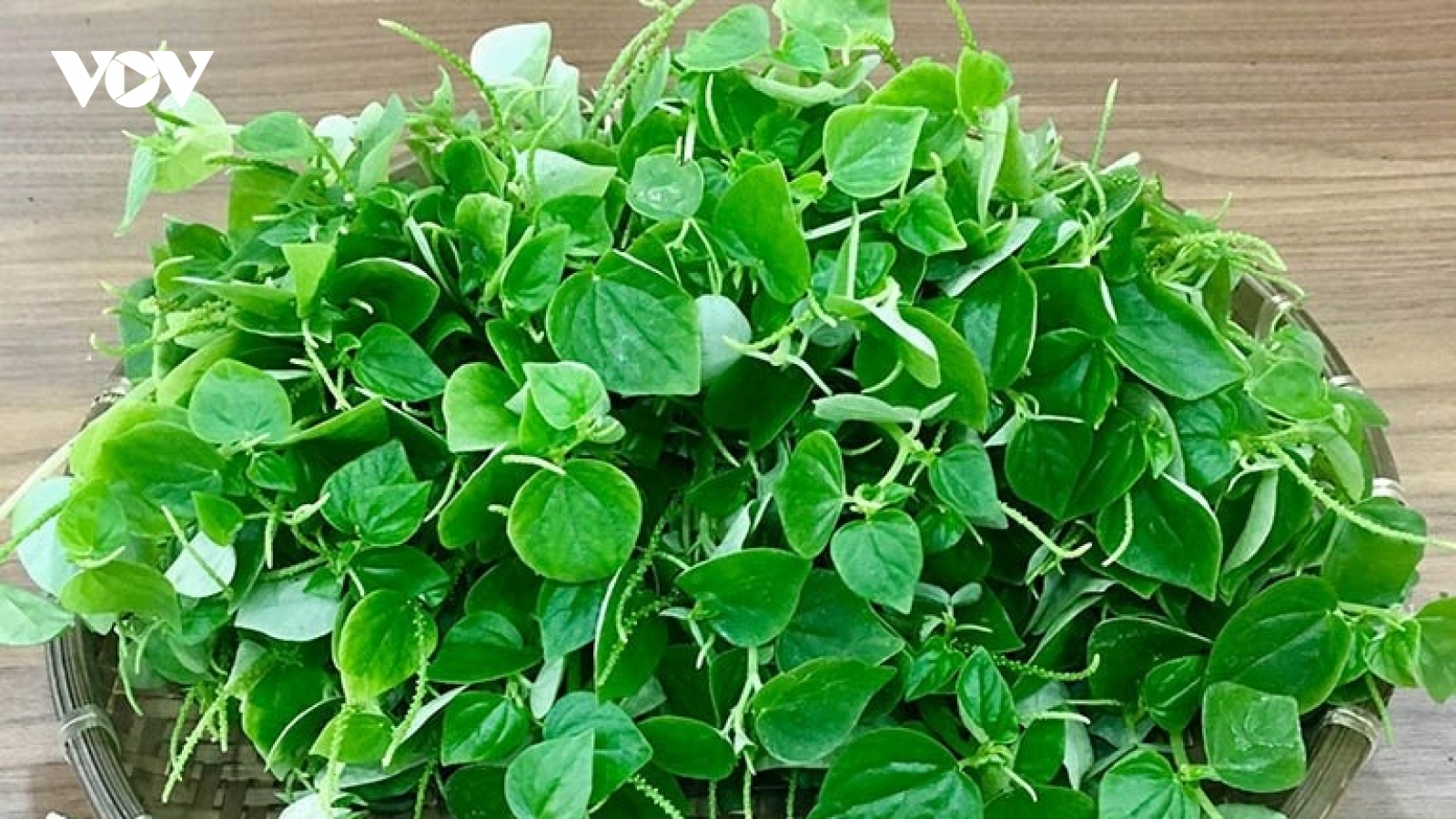 Việt Nam có vị “thuốc bổ tự nhiên” giòn dai mọng nước, ăn vào tốt ngang nhân sâm