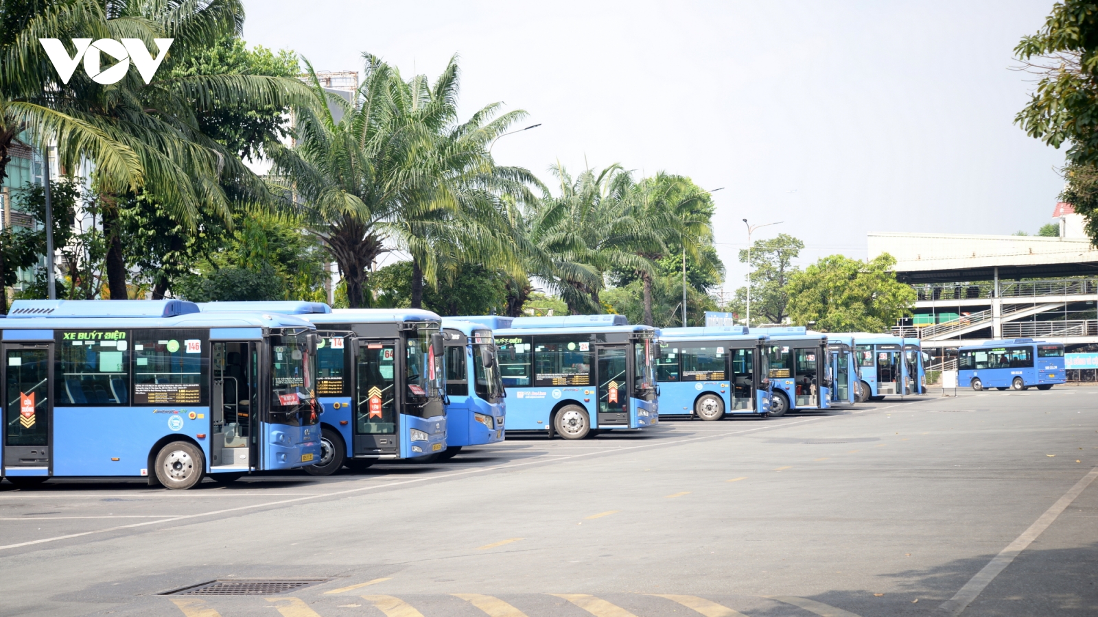 TP.HCM thí điểm bỏ vé giấy trên 16 tuyến xe buýt