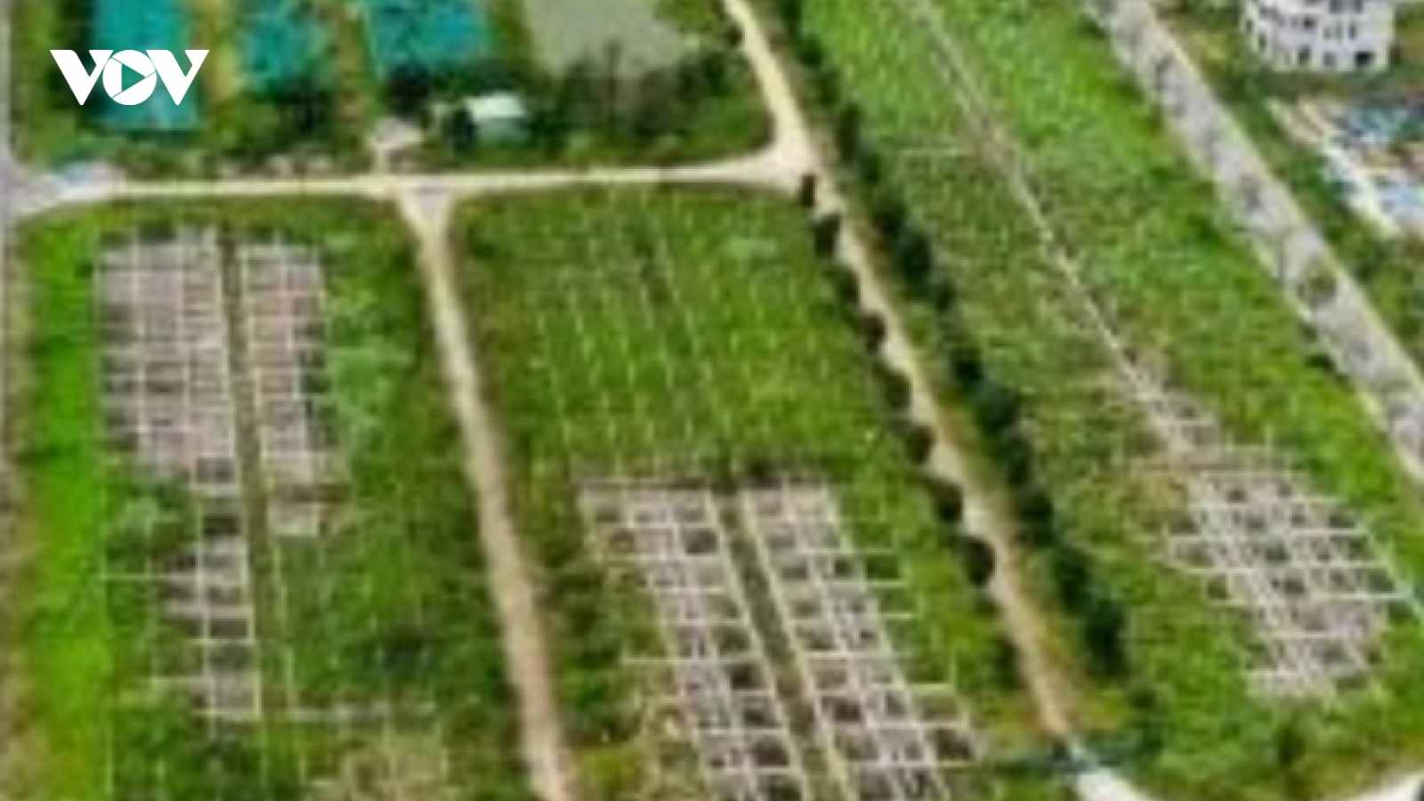 Điều tra mở rộng vụ lừa đảo mua bán đất nền "dự án" tại Công ty Đại Phúc Real