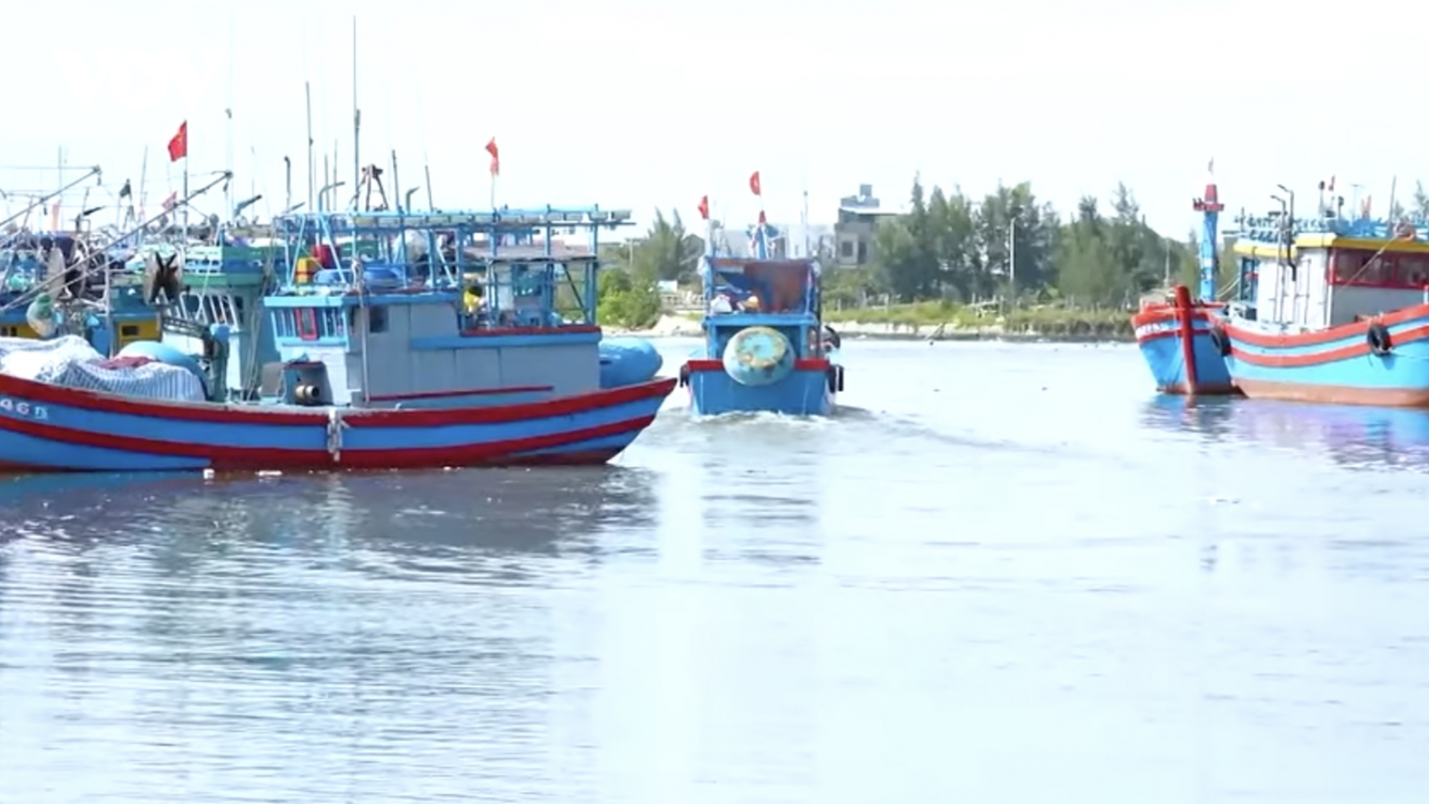 Ngư dân Quảng Ngãi ứng dụng công nghệ mới vào đánh bắt và chống khai thác IUU