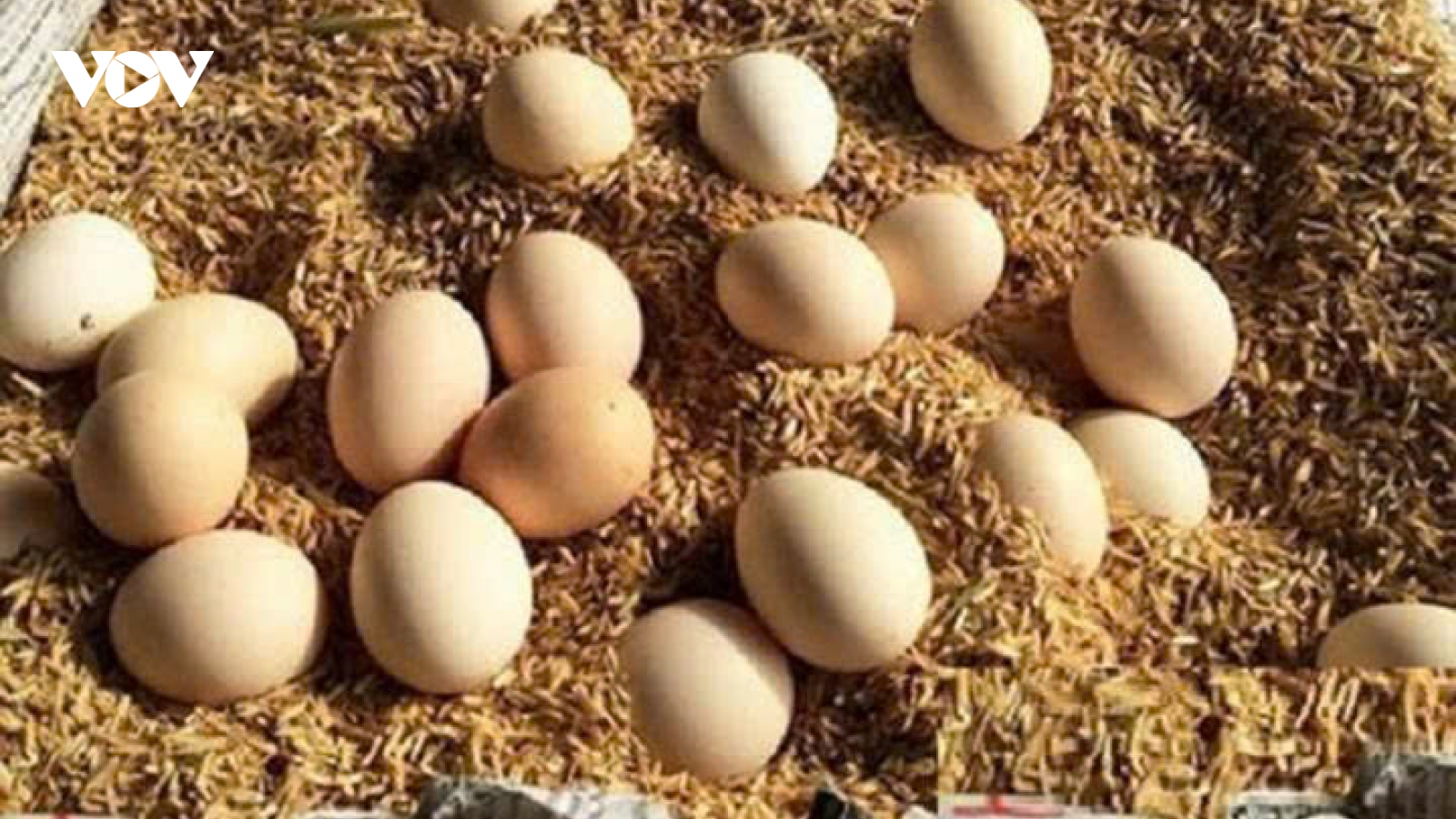 Không cần tủ lạnh vẫn giữ trứng gà tươi lâu - Mẹo đơn giản ít người biết