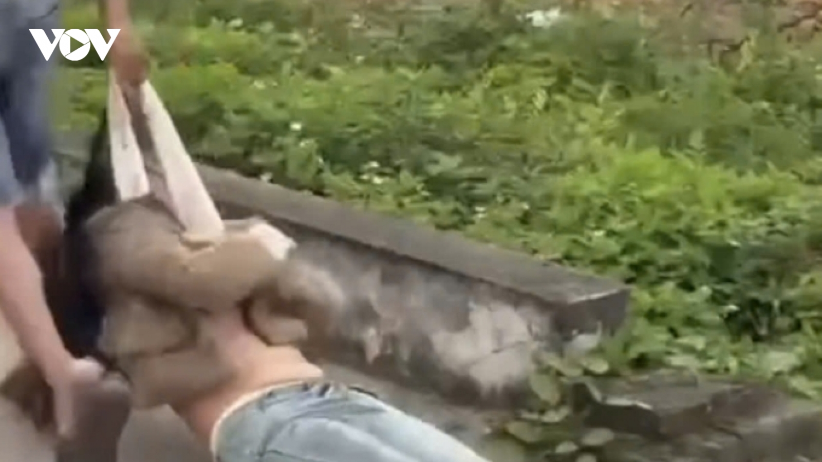 Vụ kéo lê bạn gái trên đường ở Hải Phòng: Góc nhìn pháp lý từ luật sư