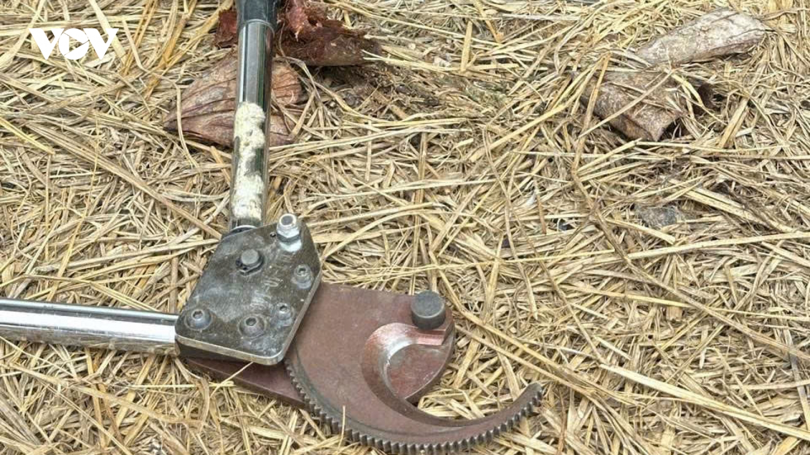 Người đàn ông ở Đồng Nai tử vong khi dùng sào sắt tự chế chạm vào điện trung thế