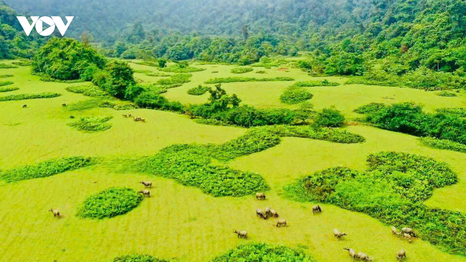 Bản sắc văn hóa, điểm nhấn để thanh niên Lâm Thượng phát triển du lịch