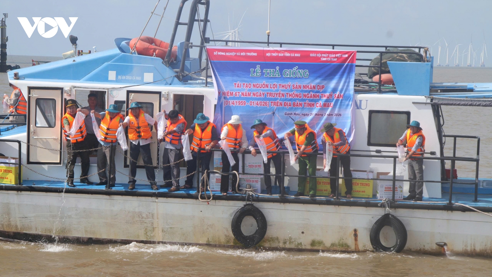 Thả hơn 2 triệu con tôm sú giống tái tạo nguồn lợi thủy sản ở Cà Mau