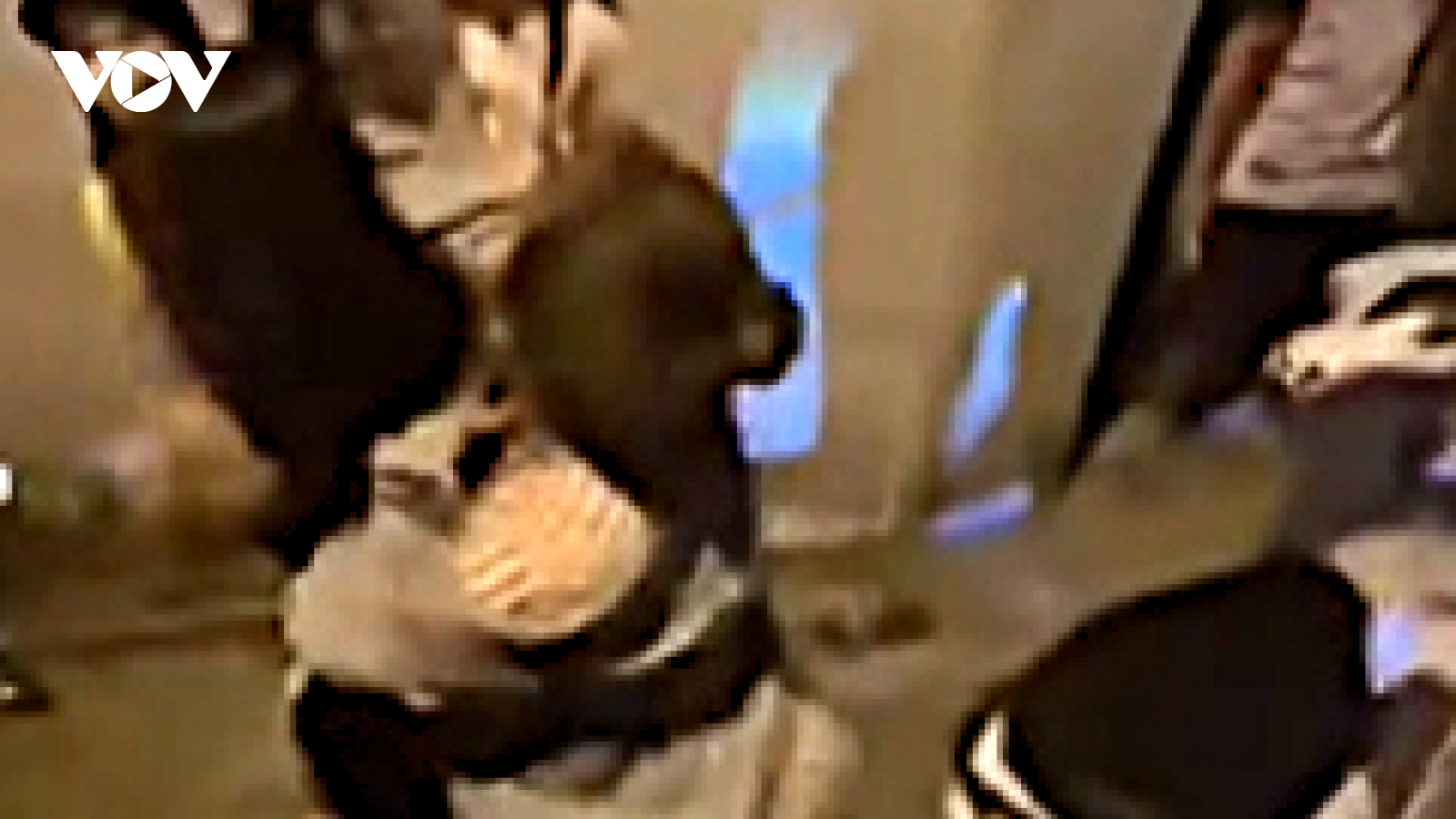 Công an vào cuộc vụ nhiều phụ nữ ẩu đả trong đêm tại Nghệ An