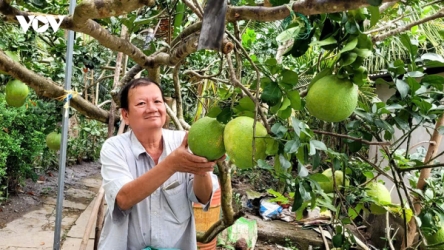Fruit exports to China set to surge as pomelo and lemon gain market access