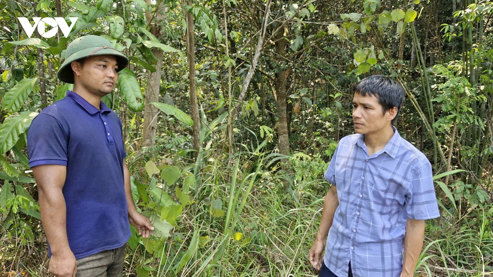 Đà Nẵng nâng cao trách nhiệm, kiểm soát chặt nguy cơ cháy rừng